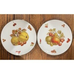 Debra Germany Plates Transfer Ware Grandmacore Cottagecore Kitschycore 2 plates